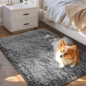 Ophanie Small Rug